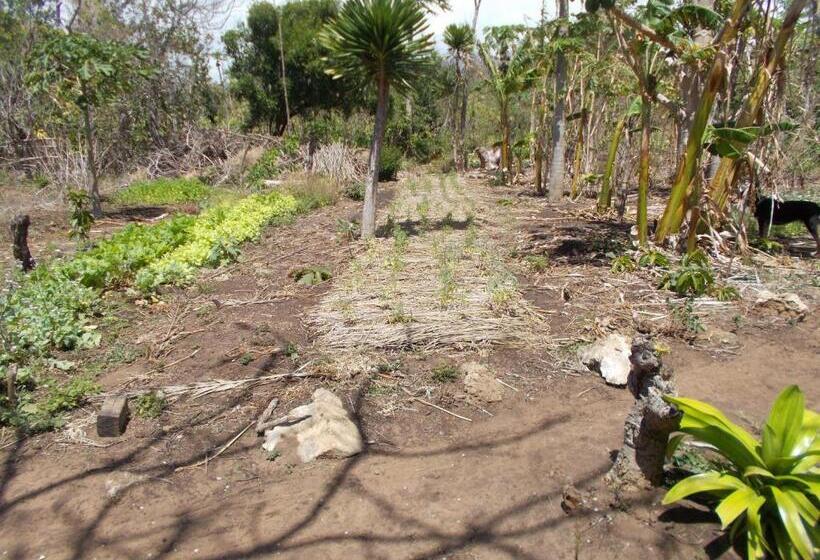 Отель Permakite