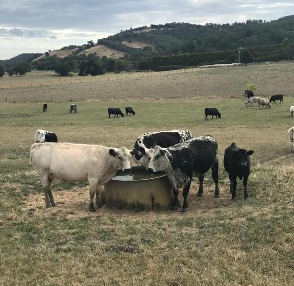 ペンション The Yarra Valley Couple Escape