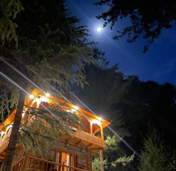 אתר נופש The Lazy And Slow