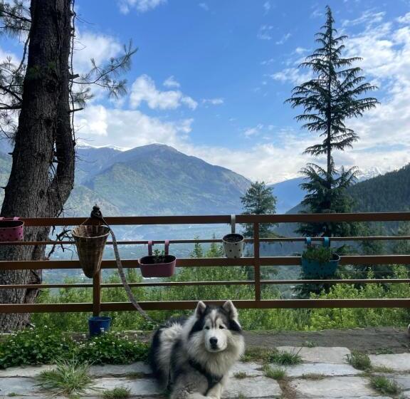 אתר נופש The Lazy And Slow