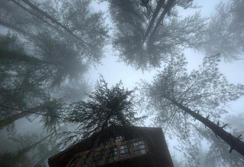 אתר נופש The Lazy And Slow