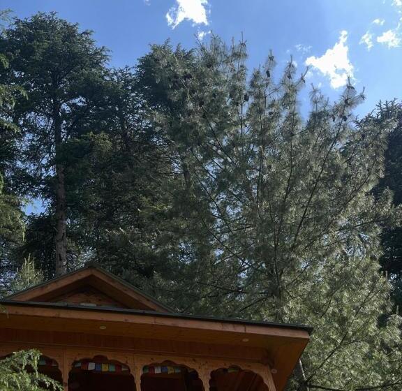 אתר נופש The Lazy And Slow