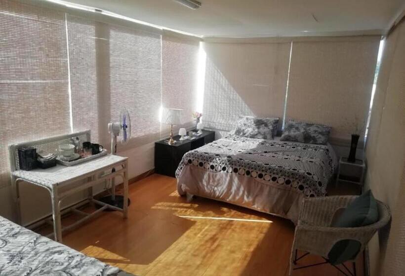 住宿加早餐 11 On Orange