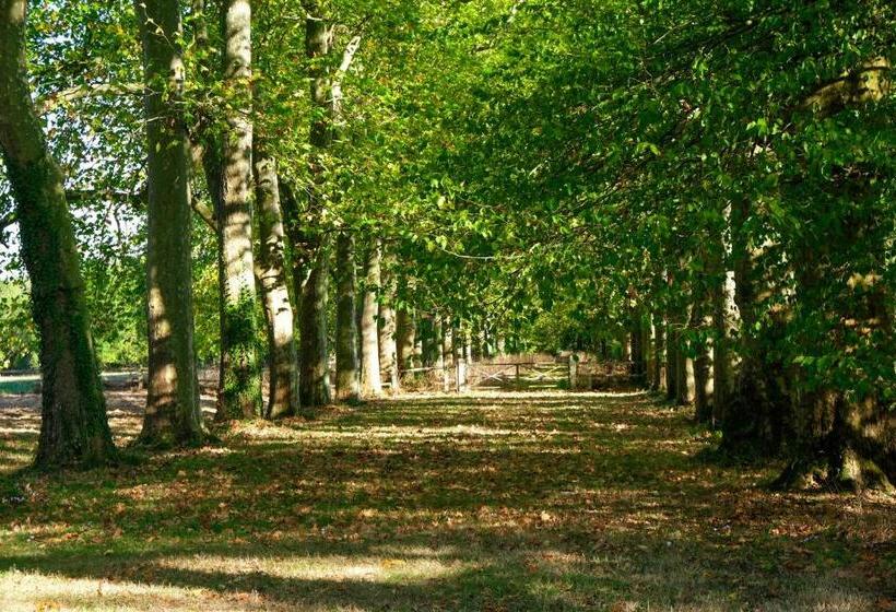 住宿加早餐 Château De Thouaré