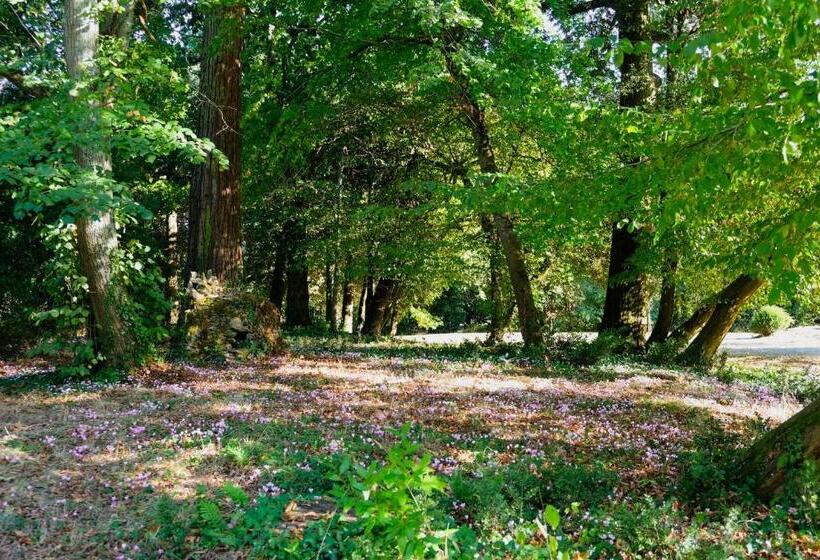 住宿加早餐 Château De Thouaré