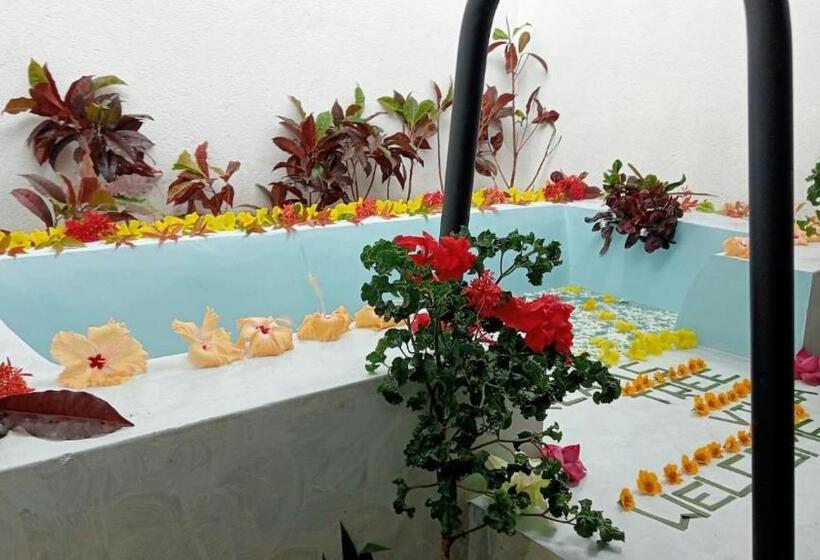 בית מלון כפרי Dream S Tree Ayurveda Villa Ahungalla