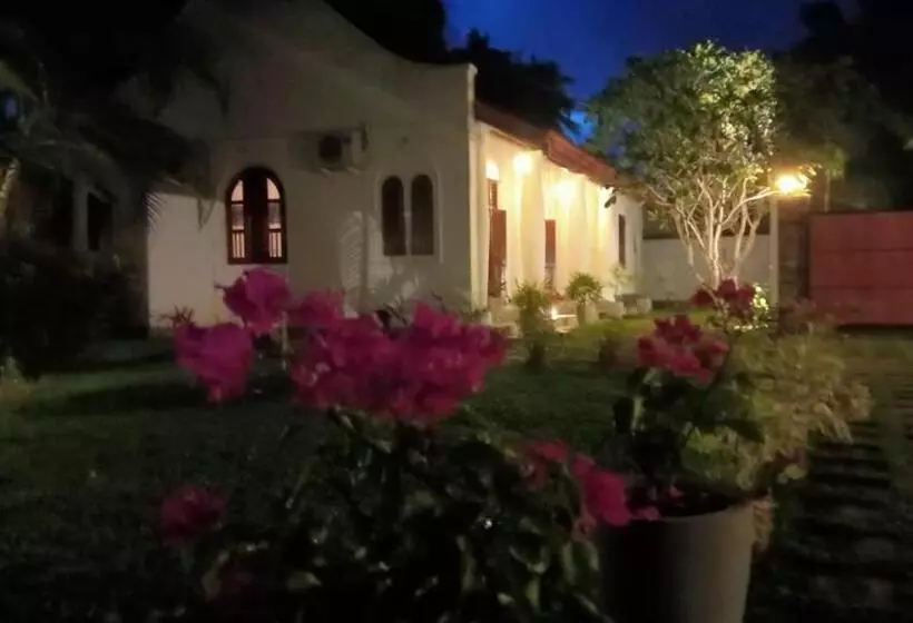 ホテル Dream S Tree Ayurveda Villa Ahungalla