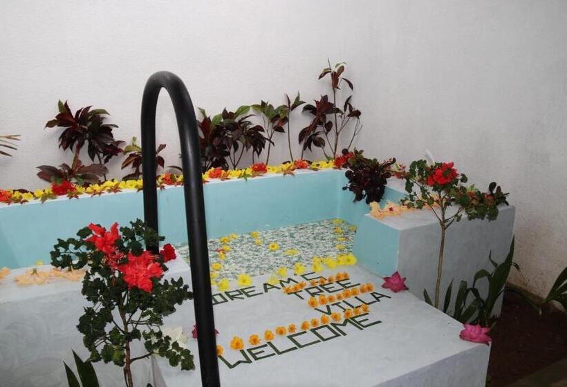 Hotel Dream S Tree Ayurveda Villa Ahungalla
