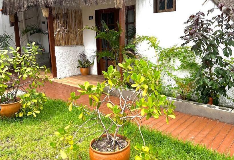 پانسیون Vila Litoranea