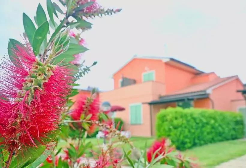 Residence With Swimming Pool In Mazzanta Just 600 Meters From The Beach