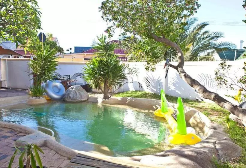 هاستل Green Elephant Backpackers