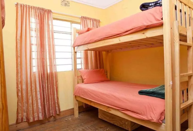 هاستل Green Elephant Backpackers