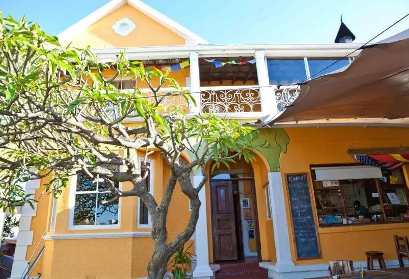 هاستل Green Elephant Backpackers
