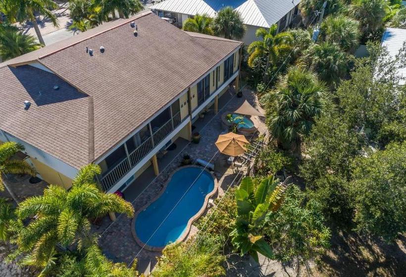 בית מלון כפרי 1 Island Hideaway