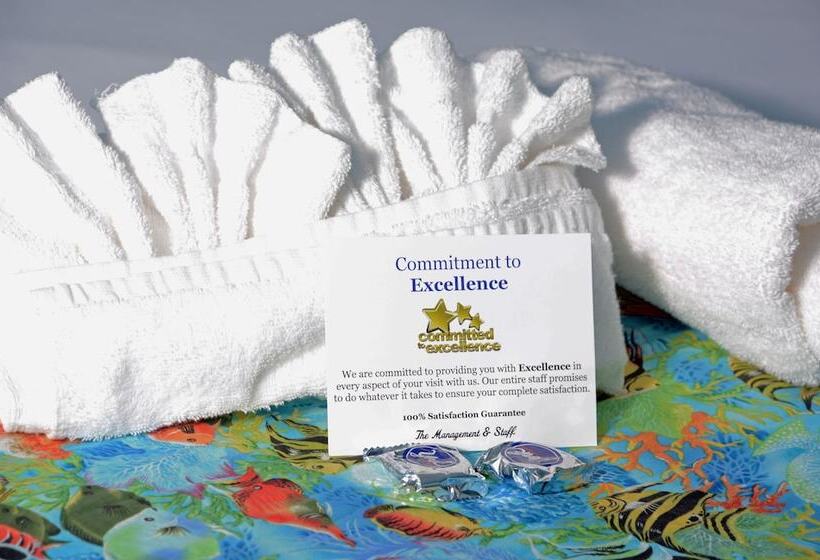 فندق Pandora S Forest Adults Only