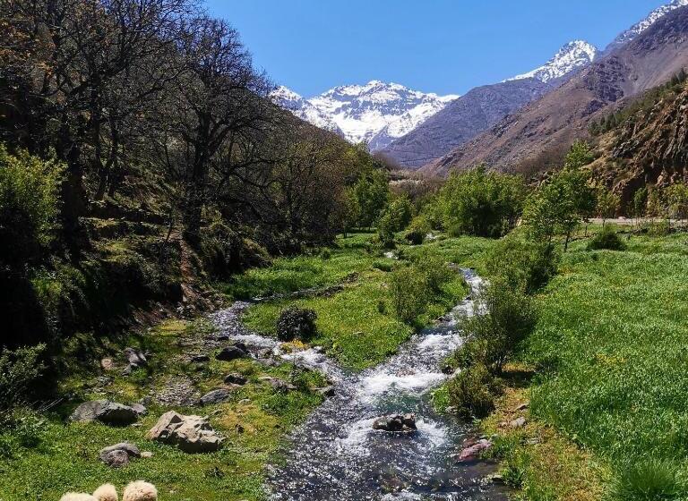 بنسيون Riad Vallée Verte Asni
