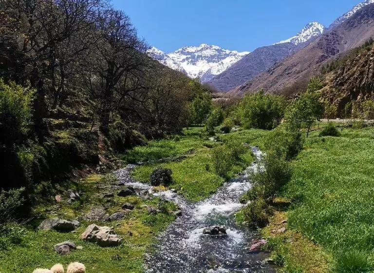 پانسیون Riad Vallée Verte Asni