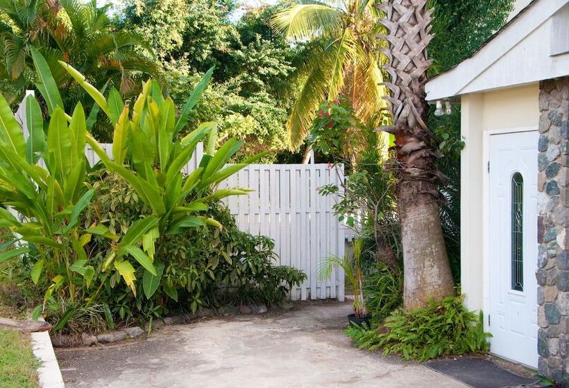 بنسيون The Artiste S Boutique By Bohemian Lodges