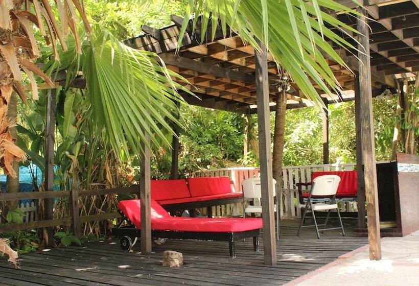 بنسيون The Artiste S Boutique By Bohemian Lodges