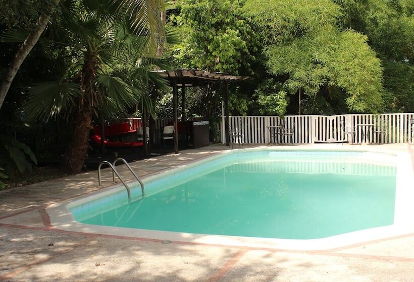 بنسيون The Artiste S Boutique By Bohemian Lodges