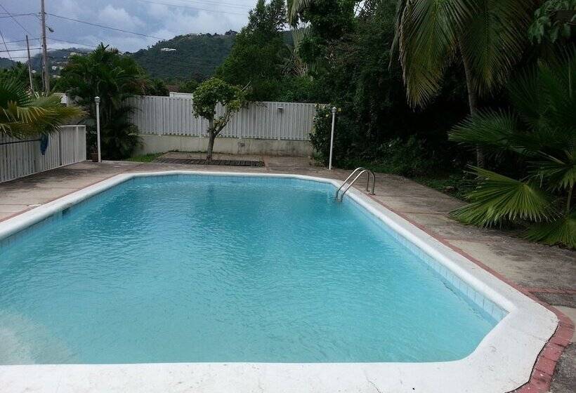 بنسيون The Artiste S Boutique By Bohemian Lodges