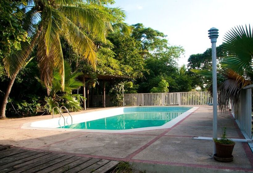 بنسيون The Artiste S Boutique By Bohemian Lodges