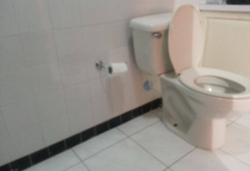 بنسيون The Artiste S Boutique By Bohemian Lodges