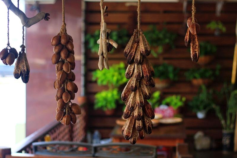 Seville Countrified B&b