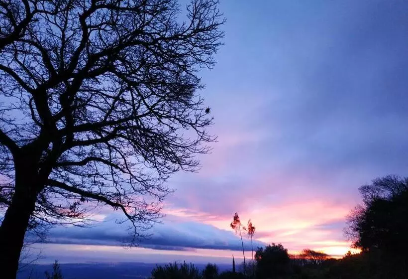 ベッドアンドブレックファースト Montalma