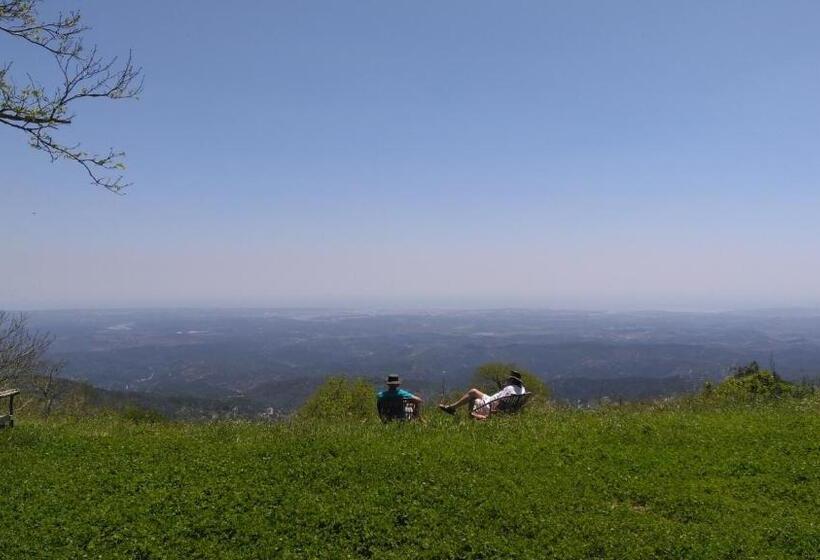 تختخواب و صبحانه Montalma