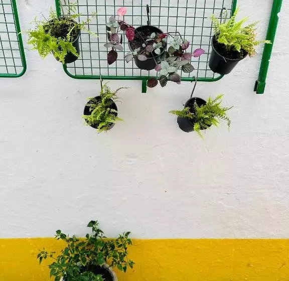 Hostel Das Flores
