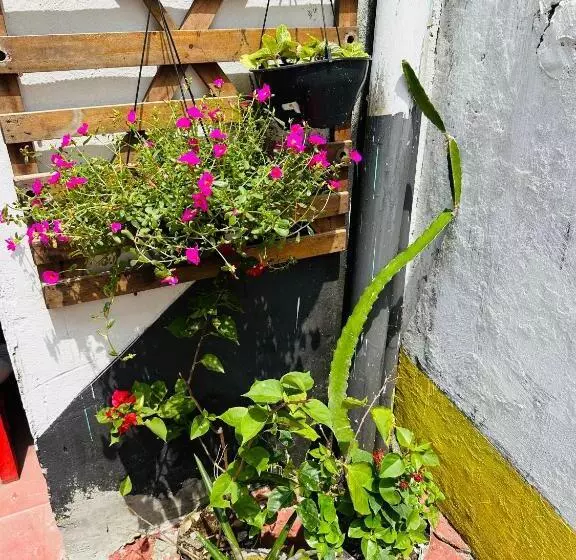 Hostel Das Flores