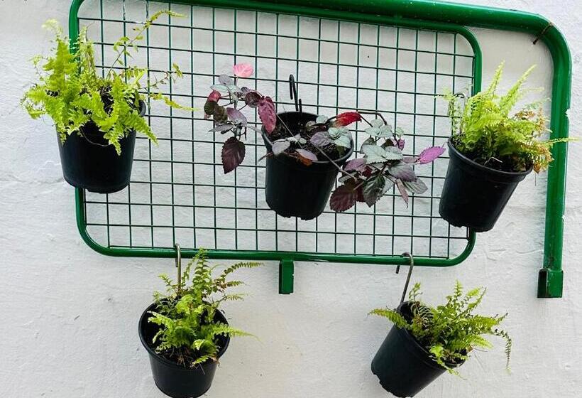 Hostel Das Flores