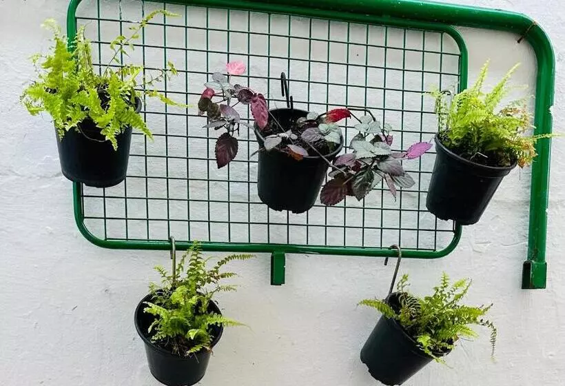 Hostel Das Flores