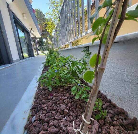 בית מלון כפרי Lulubay Rooms & Suites