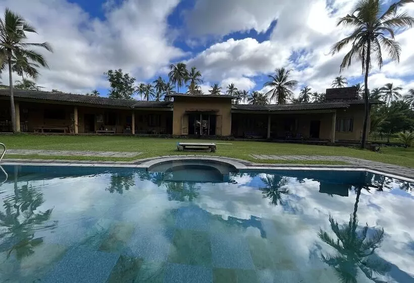 Hotelli Rivendell Twisted Tree