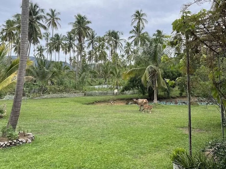 Hotelli Rivendell Twisted Tree