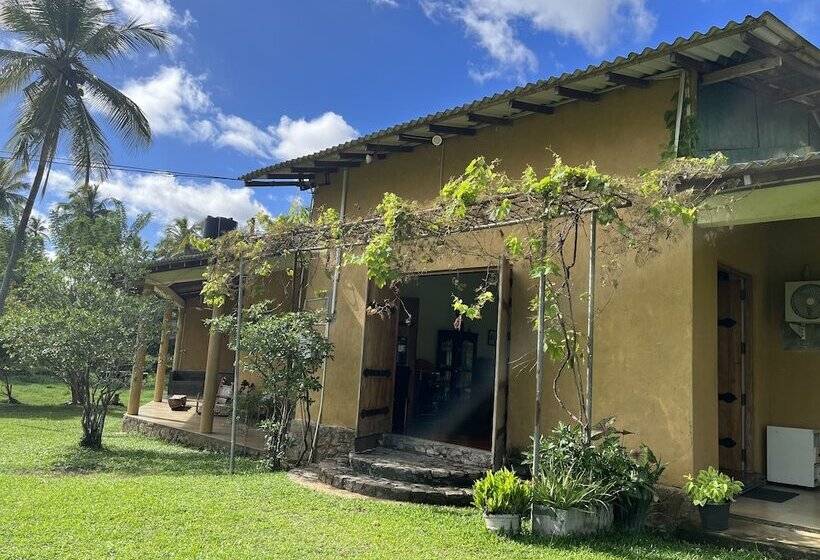 Отель Rivendell Twisted Tree