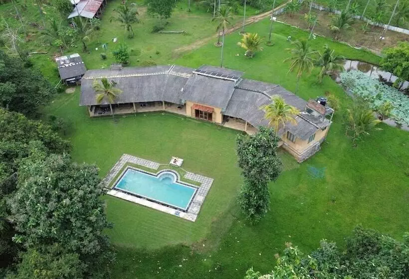 Hotelli Rivendell Twisted Tree