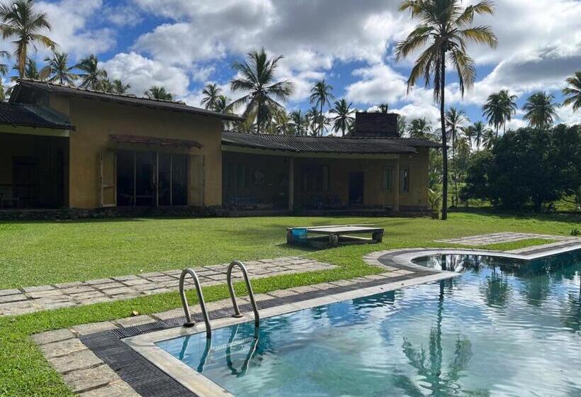 Отель Rivendell Twisted Tree