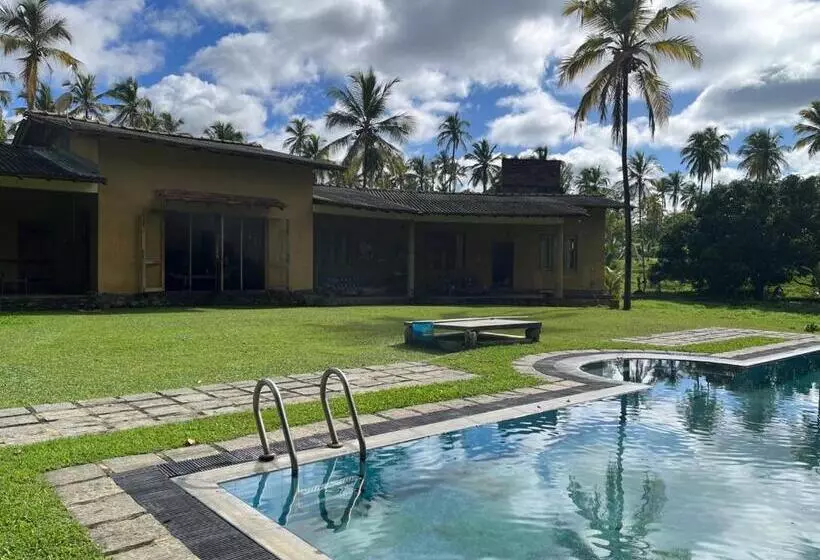 Hotelli Rivendell Twisted Tree