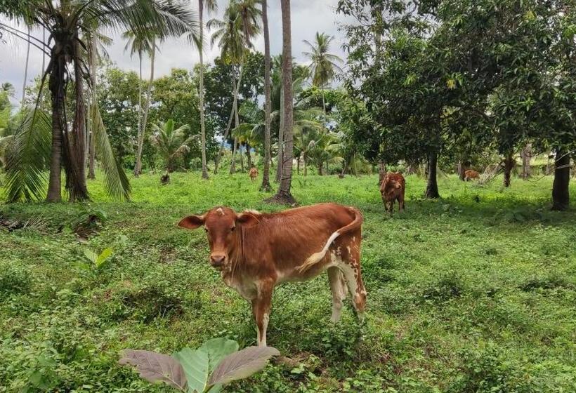 Отель Rivendell Twisted Tree