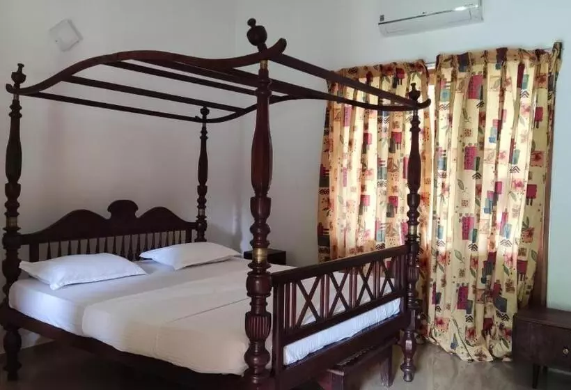 Hotelli Rivendell Twisted Tree