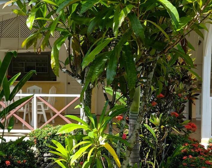 هتل Villas Mariposa