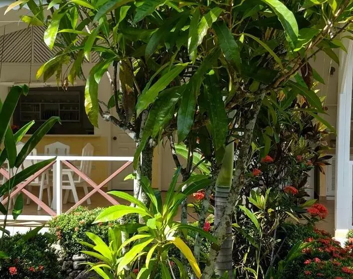 Hotelli Villas Mariposa