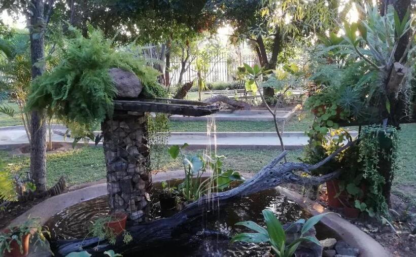 Пансион The Orchid Guesthouse