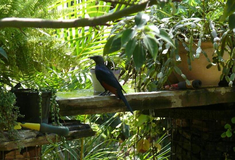 Пансион The Orchid Guesthouse