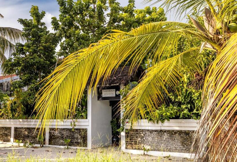 هتل Fushi Beach Guesthouse