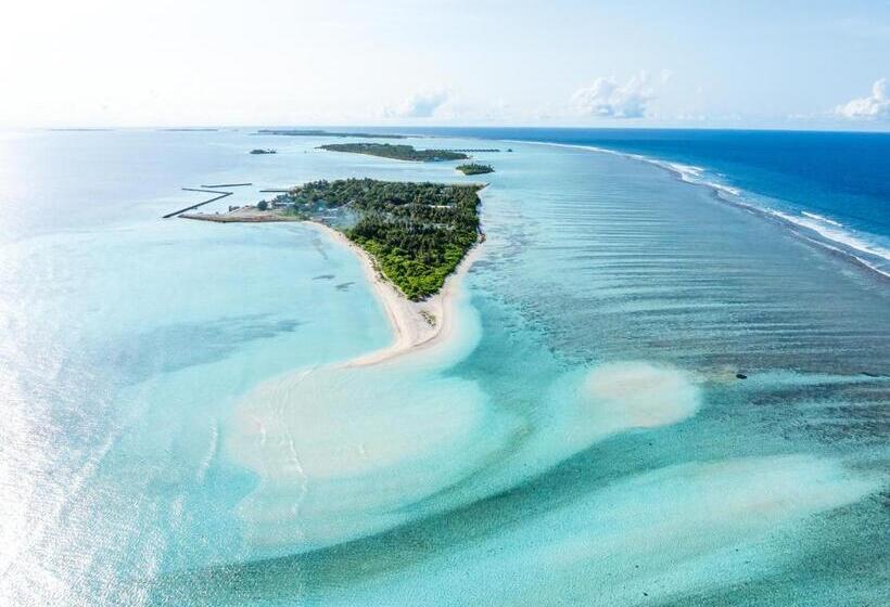 هتل Fushi Beach Guesthouse