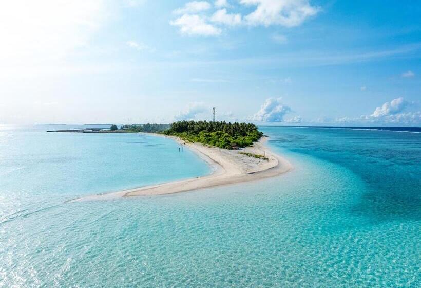 هتل Fushi Beach Guesthouse